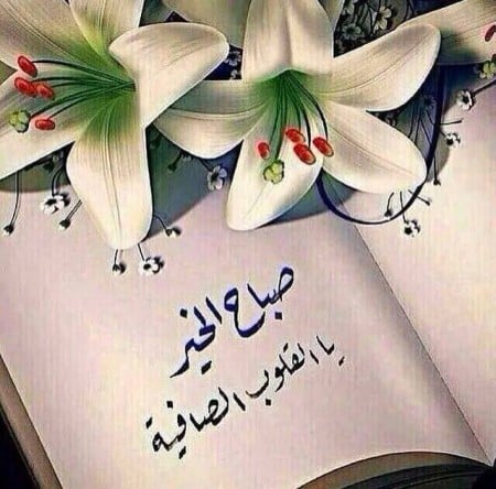 بوستات صباح الخير للحبيب