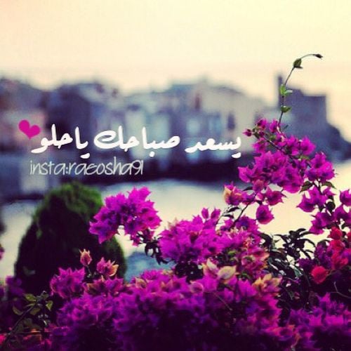 بوستات صباح الخير للحبيب