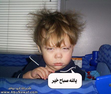 بوستات صباح الخير مضحكة