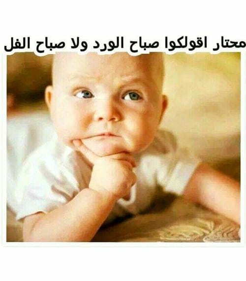 بوستات صباح الخير مضحكة