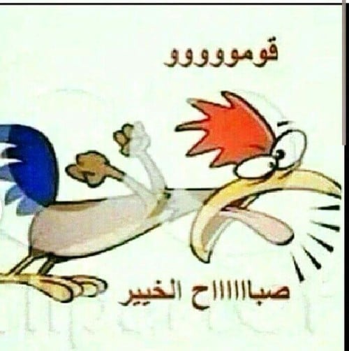 بوستات صباح الخير مضحكة