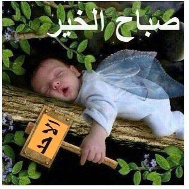 بوستات صباح الخير مضحكة