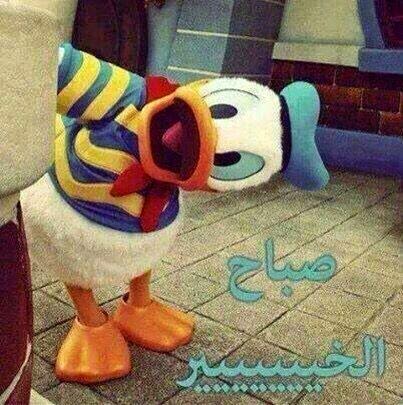 بوستات صباح الخير مضحكة