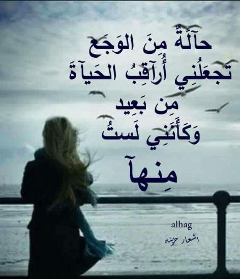 بوستات فيس بوك عن الحياة