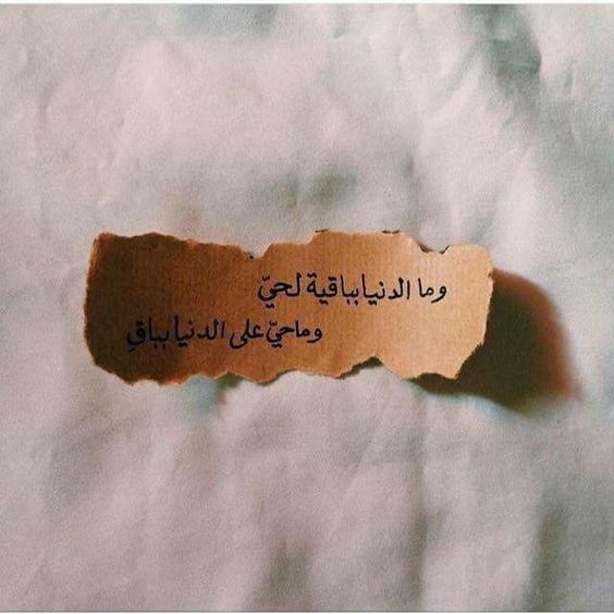 بوستات فيس بوك