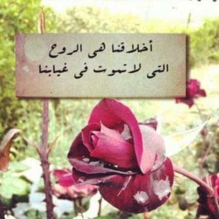 بوستات فيس مكتوبة قصيرة