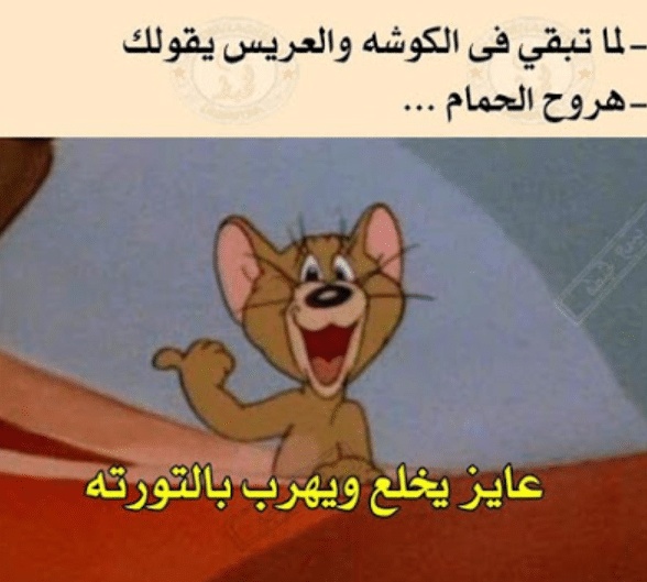 بوستات مضحكة للبنات