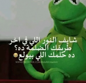 بوستات مضحكة للواتس