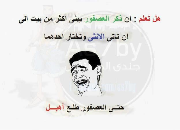 بوستات مضحكة