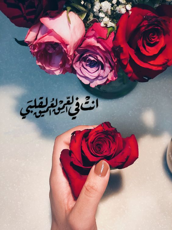 بوستات مكتوب عليها كلام حب