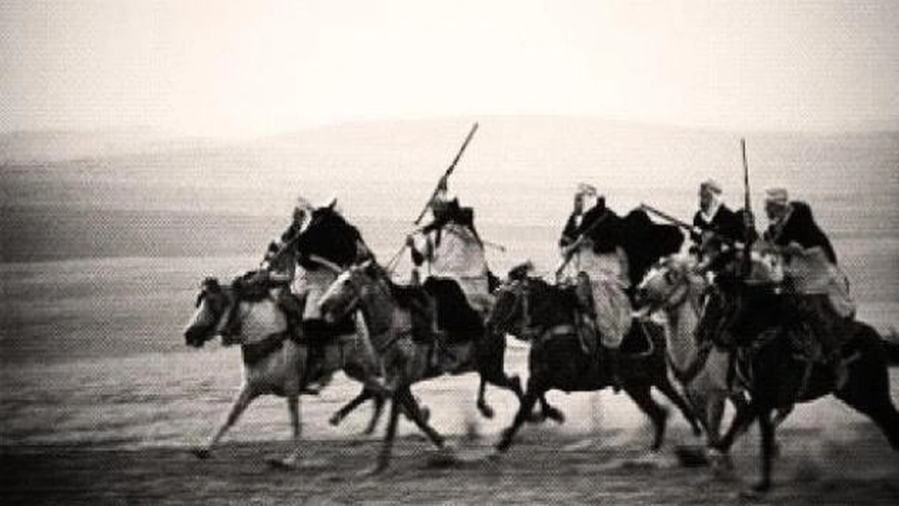 صورة بيت شعر في قبيلة مطير