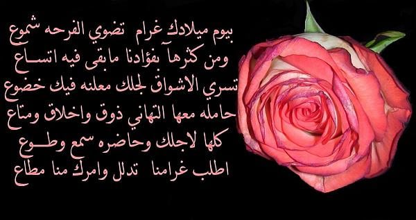 بيسيات عيد ميلاد حبيبي