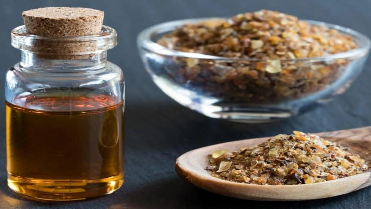 صورة تجاربكم مع المرة للشعر