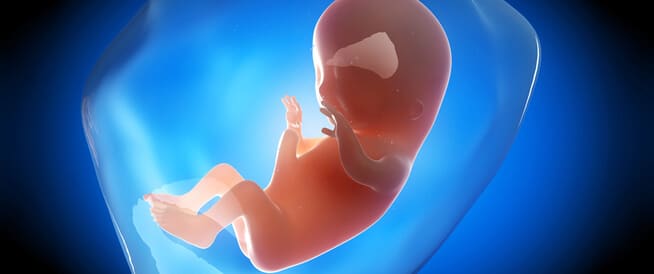 تجاربكم مع حركة الجنين في الشهر الثاني