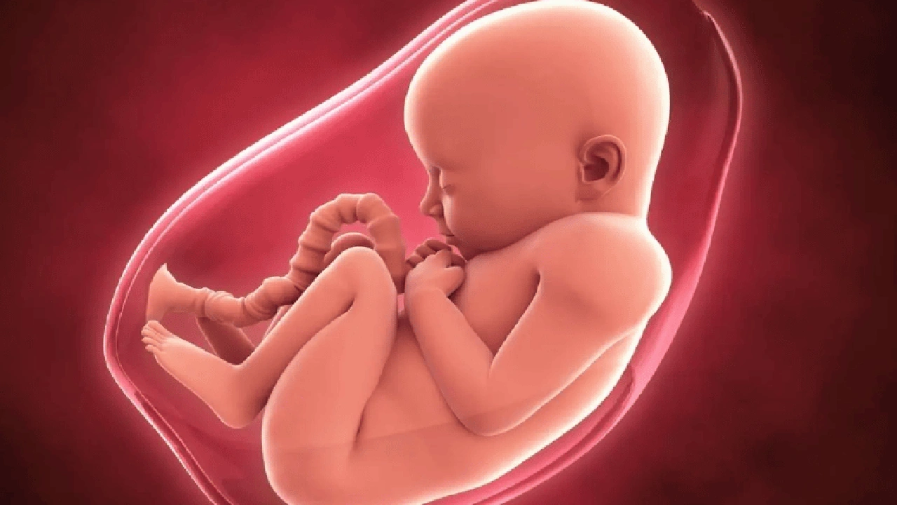 صورة تجاربكم مع حركة الجنين في الشهر الثاني