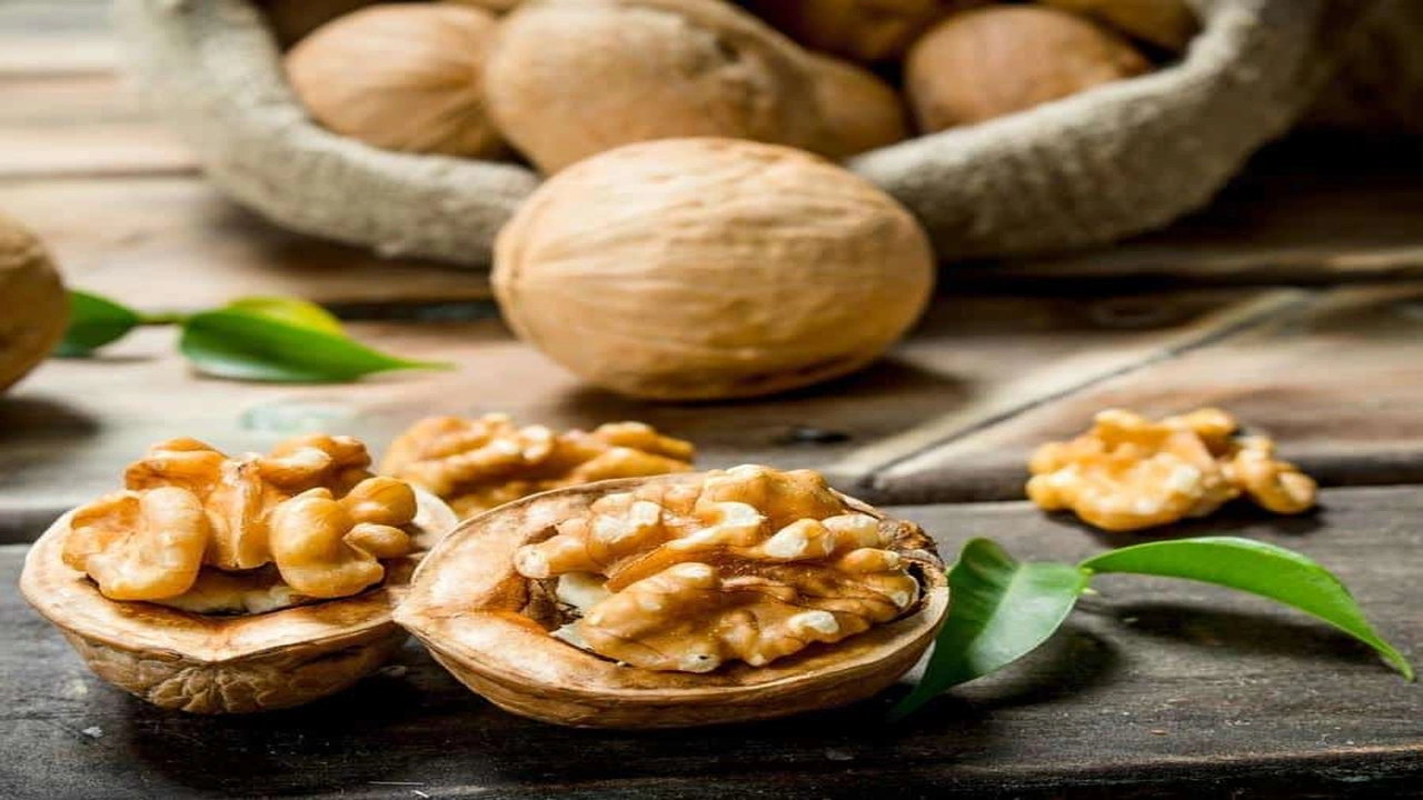 صورة تجاربكم مع خلطة عين الجمل للحمل