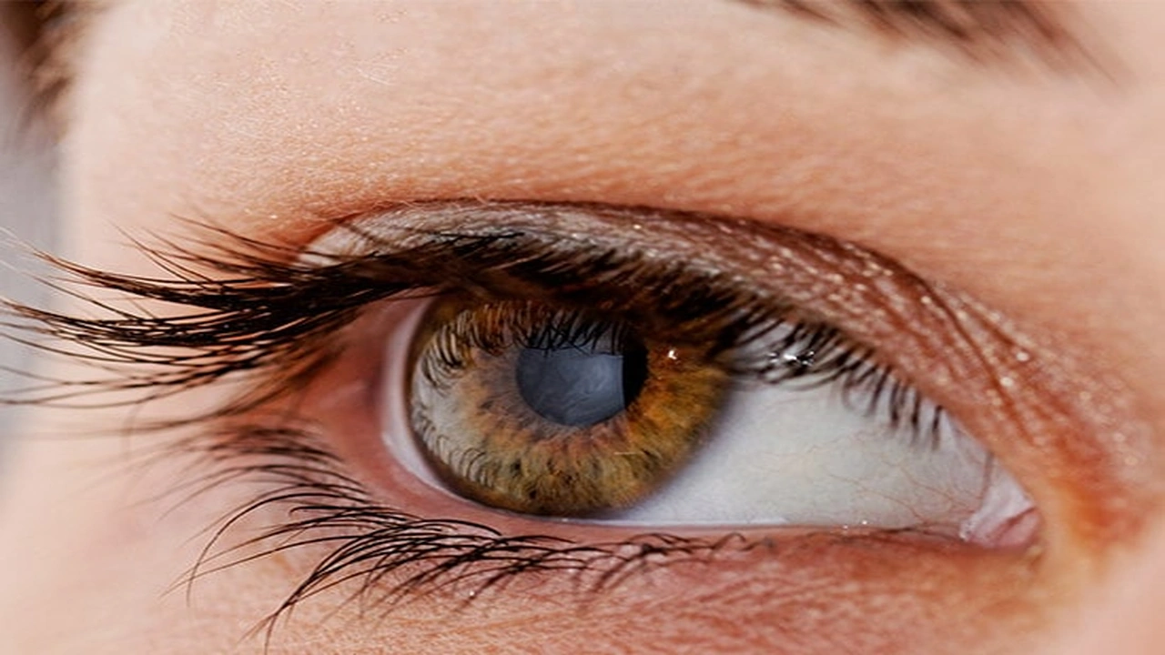 صورة تجاربكم مع رفة العين