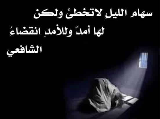 تجاربكم مع سهام الليل