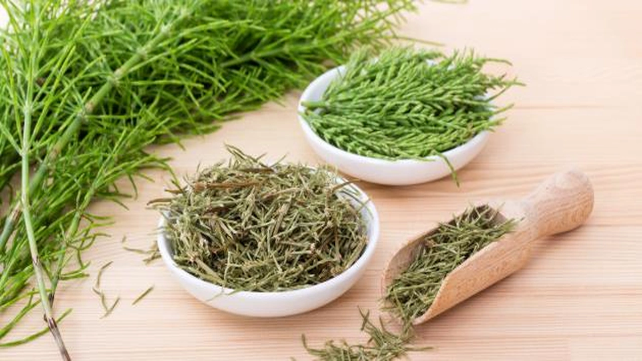 صورة تجاربكم مع عشبة ذيل الحصان لتطويل الشعر