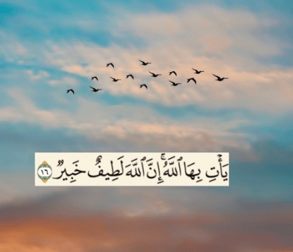 تجاربكم مع يأتي بها الله ان الله لطيف خبير