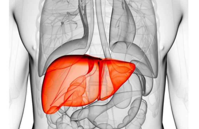 تجربتي في إزالة دهون الكبد
