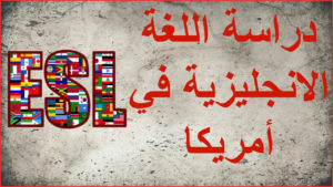 تجربتي في دراسة اللغة في امريكا
