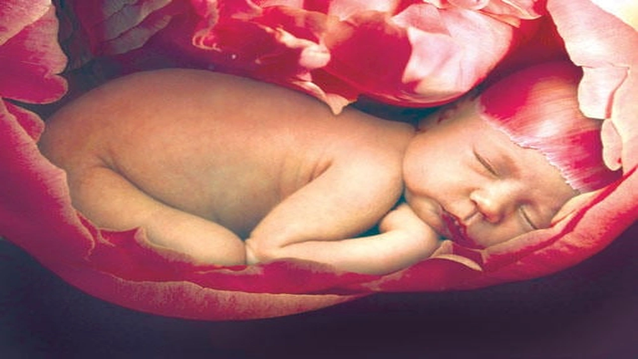 صورة تجربتي في زيادة ماء الجنين