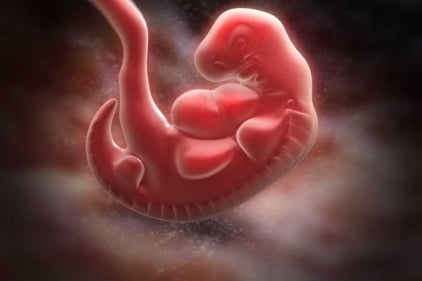 تجربتي مع الاجهاض في الشهر الثاني