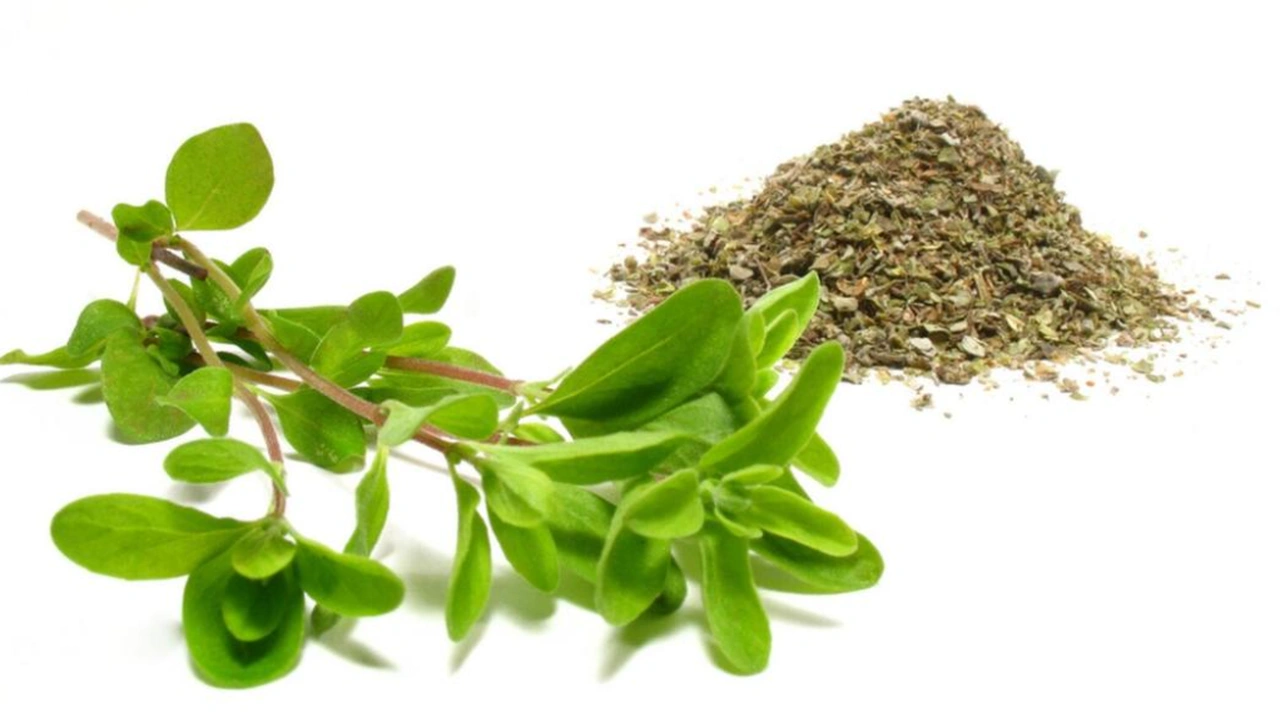 صورة تجربتي مع البردقوش للتنحيف