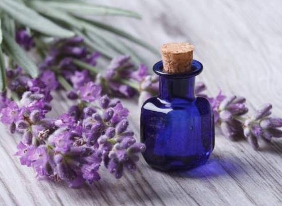 تجربتي مع البردقوش للشعر