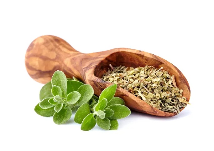 تجربتي مع البردقوش