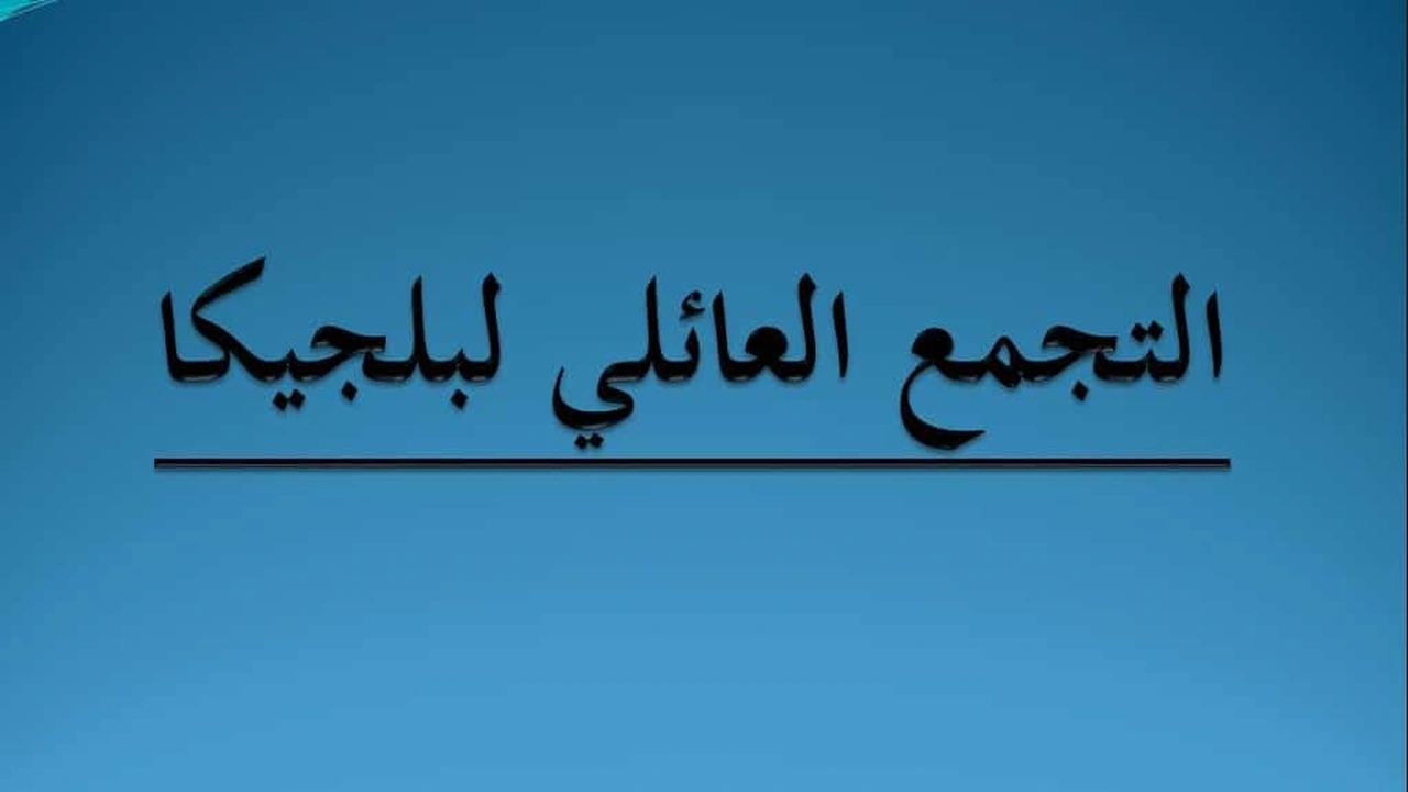 صورة تجربتي مع التجمع العائلي ببلجيكا تجربتي مع التجمع العائلي ببلجيكا