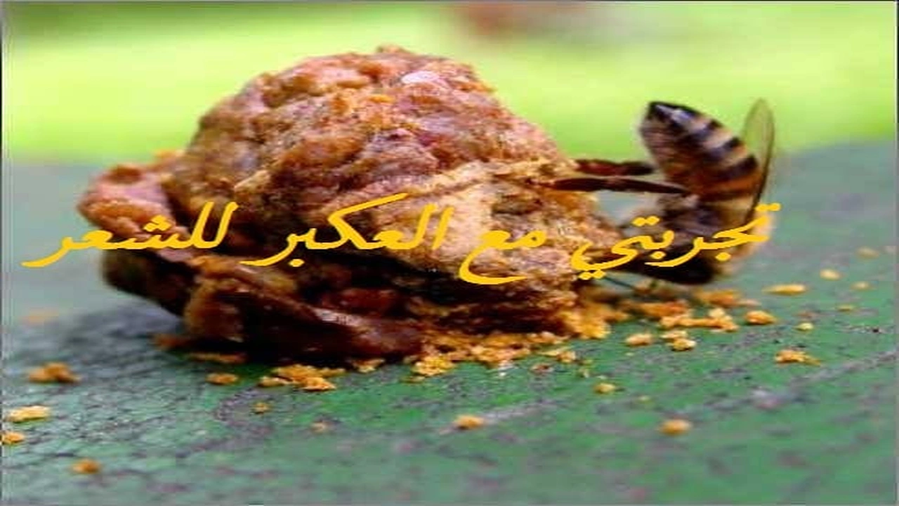 صورة تجربتي مع العكبر للشعر