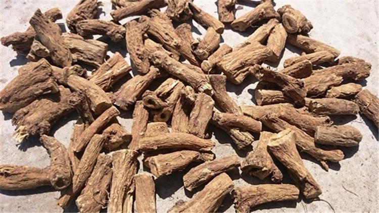 تجربتي مع القسط الهندي للغدة الدرقية
