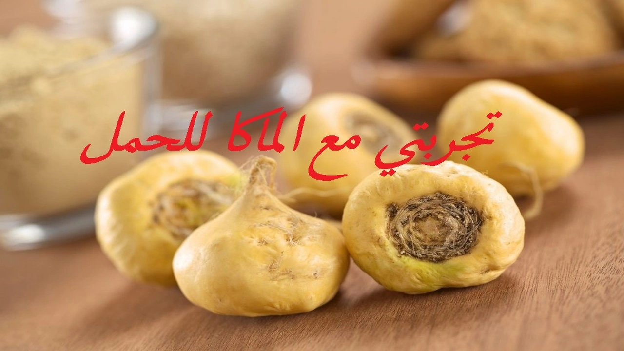 صورة تجربتي مع الماكا للحمل