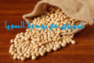 تجربتي مع بودرة الصويا