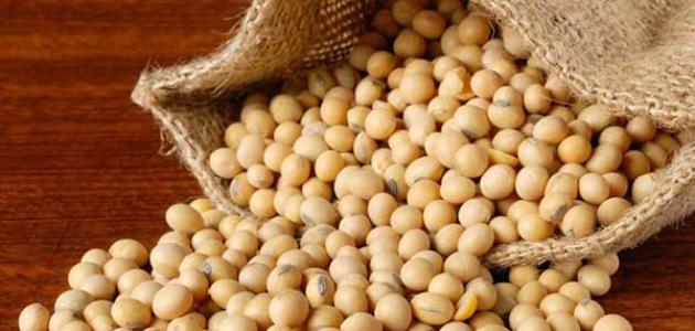 تجربتي مع بودرة الصويا