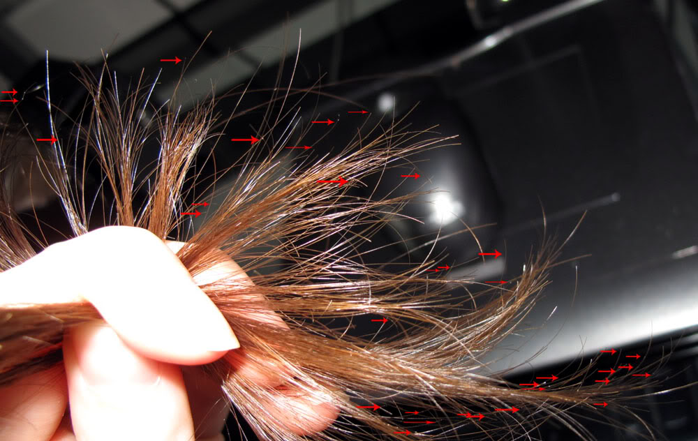 تجربتي مع جهاز تقصف الشعر