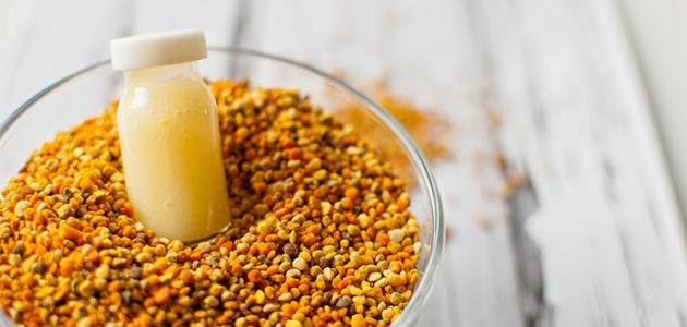 تجربتي مع حبوب غذاء ملكات النحل للتسمين