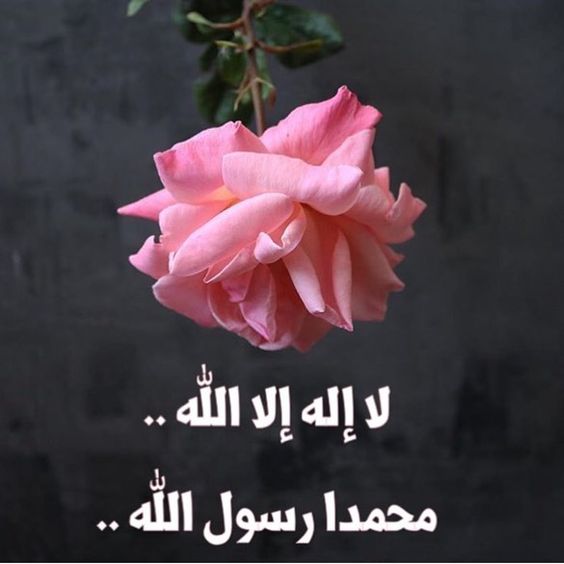 تجربتي مع ذكر التوحيد