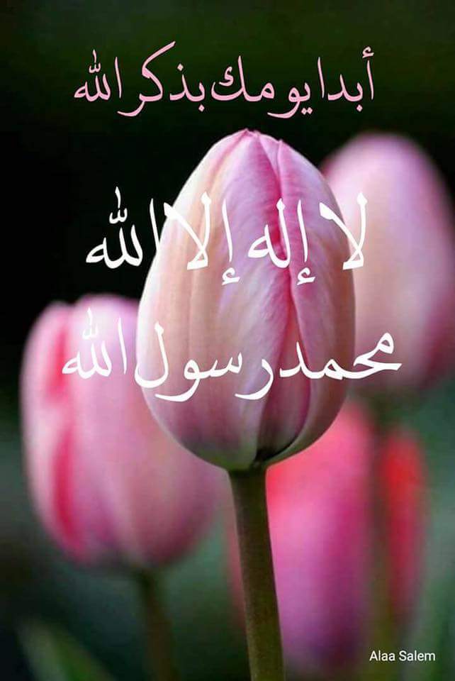 تجربتي مع ذكر التوحيد