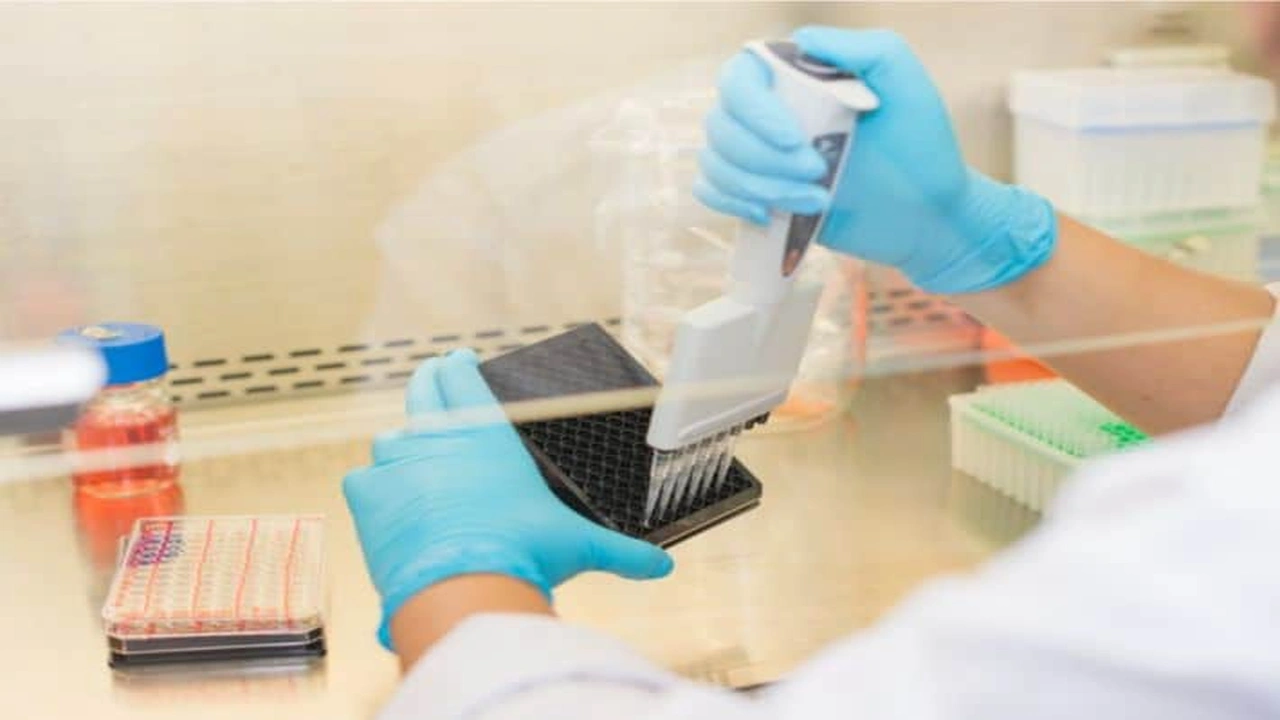 صورة تجربتي مع زراعة الخلايا الجذعية لمرضى السكري