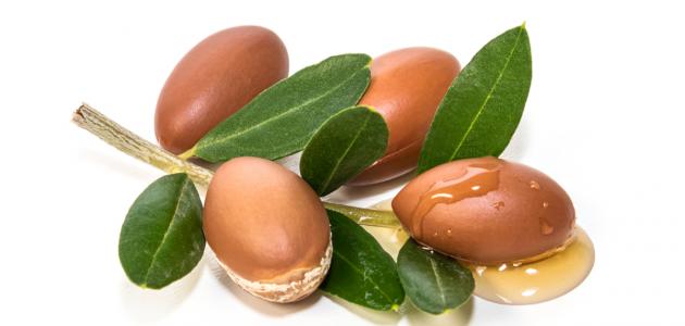 تجربتي مع زيت الأرغان للشعر