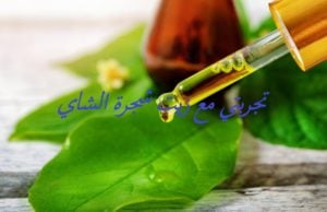 تجربتي مع زيت شجرة الشاي