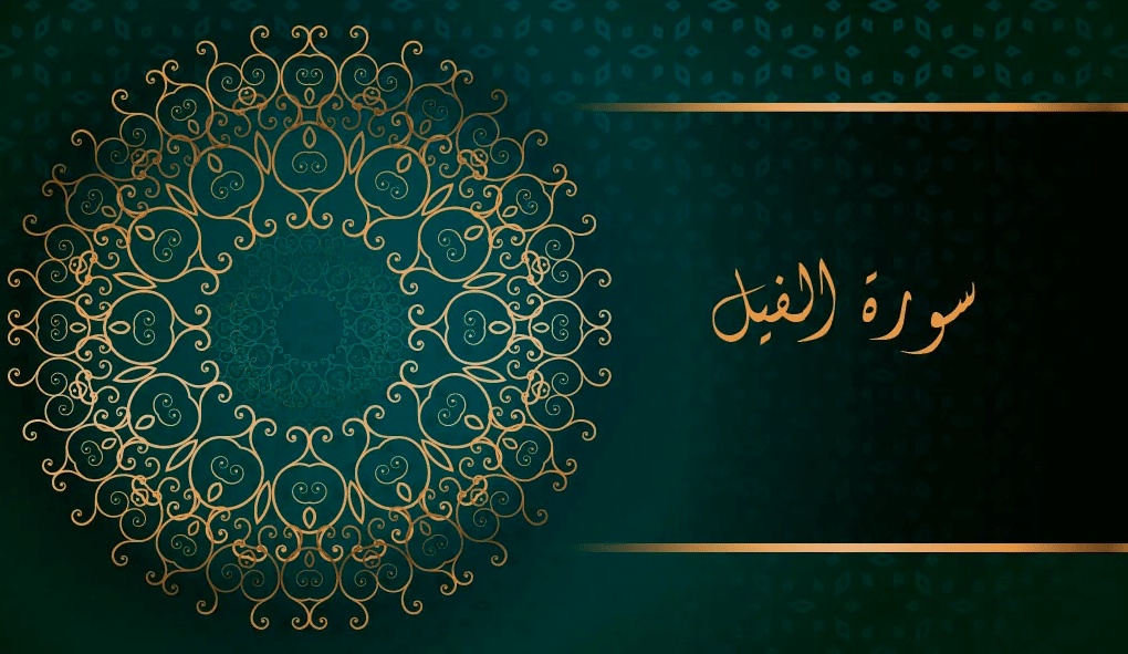 تجربتي مع سورة الفيل