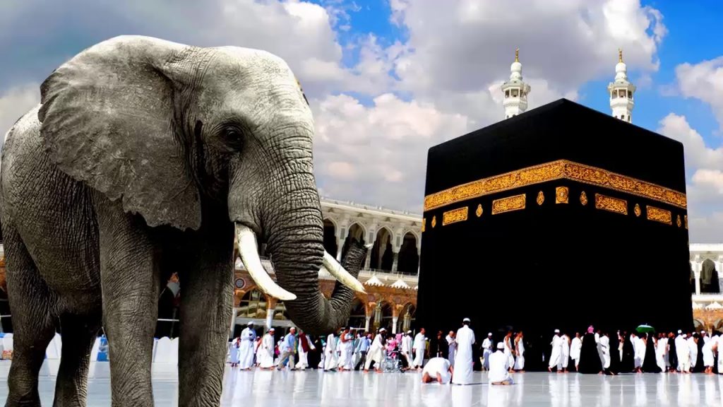 تجربتي مع سورة الفيل