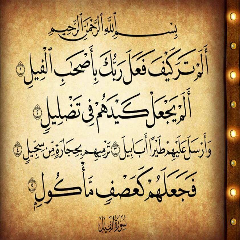 تجربتي مع سورة الفيل