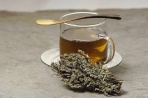 تجربتي مع شرب الشيح