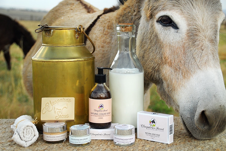 تجربتي مع صابونة حليب الحمار