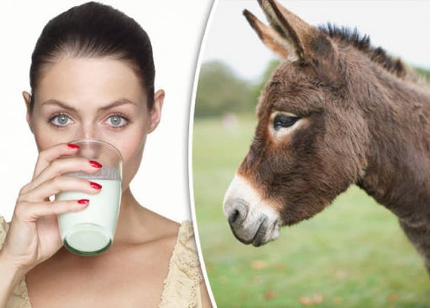 تجربتي مع صابونة حليب الحمار